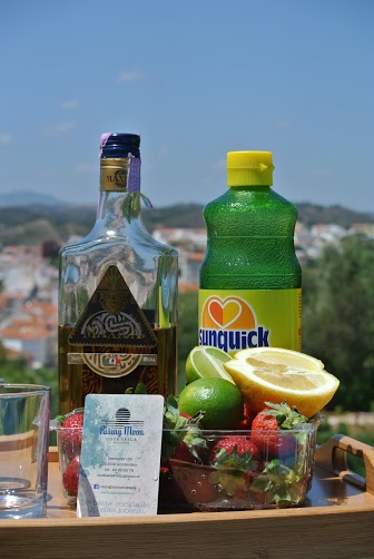 Aardbeiden Margarita